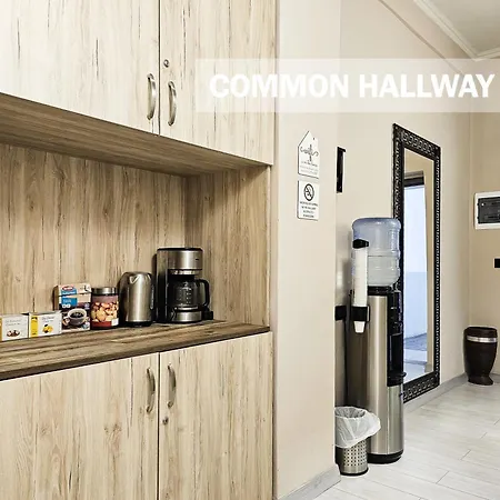 Sunflower Junior Tirana